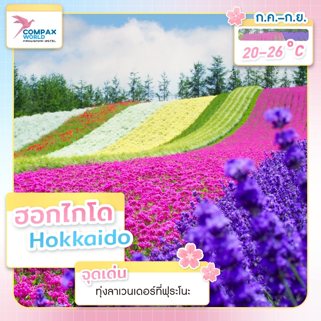 เที่ยวญี่ปุ่น ทัวร์ญี่ปุ่น เที่ยวญี่ปุ่นหน้าร้อน